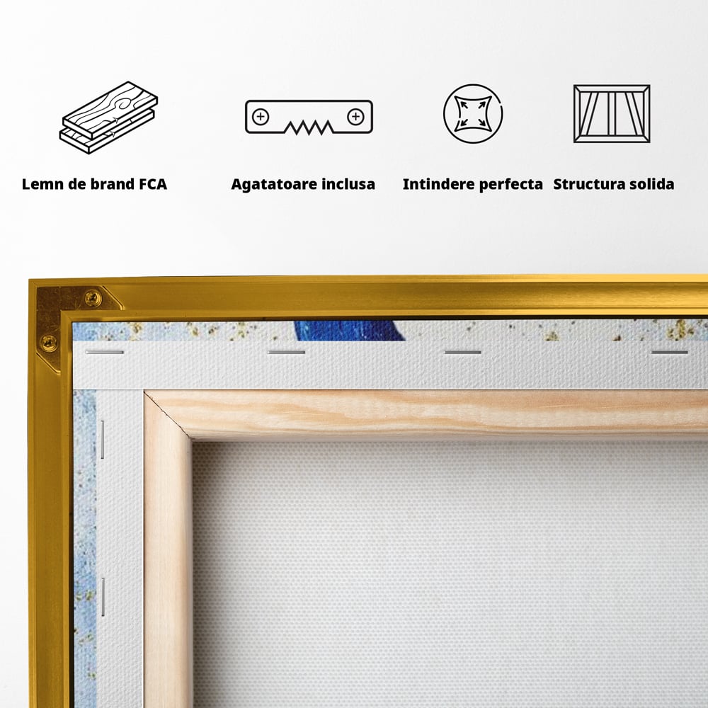 Spatele produsului, cu sasiu din lemn, capse metalice si agatatoare